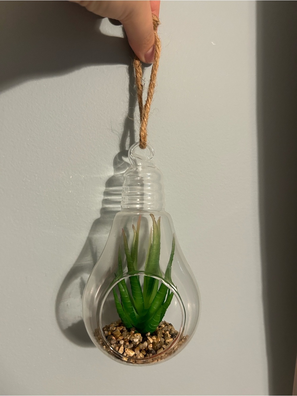 Hanging Glass Bulb Planter with Green Succulent Accent